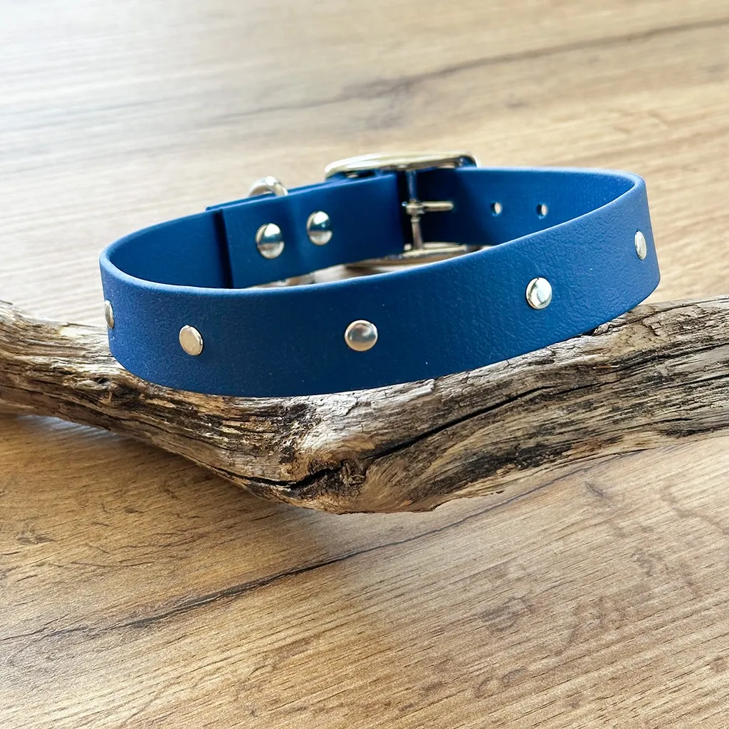 collier-biothane-bleu