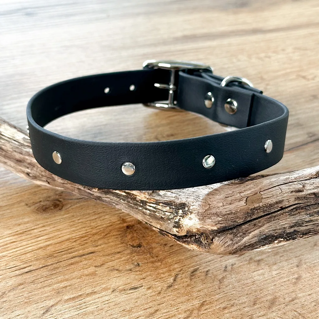 collier-biothane-noir