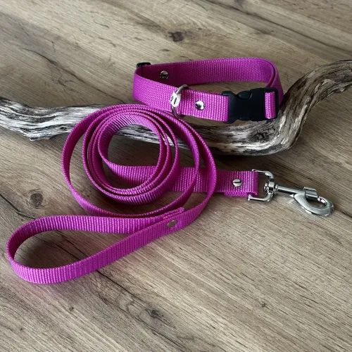 kit collier + laisse en textile
