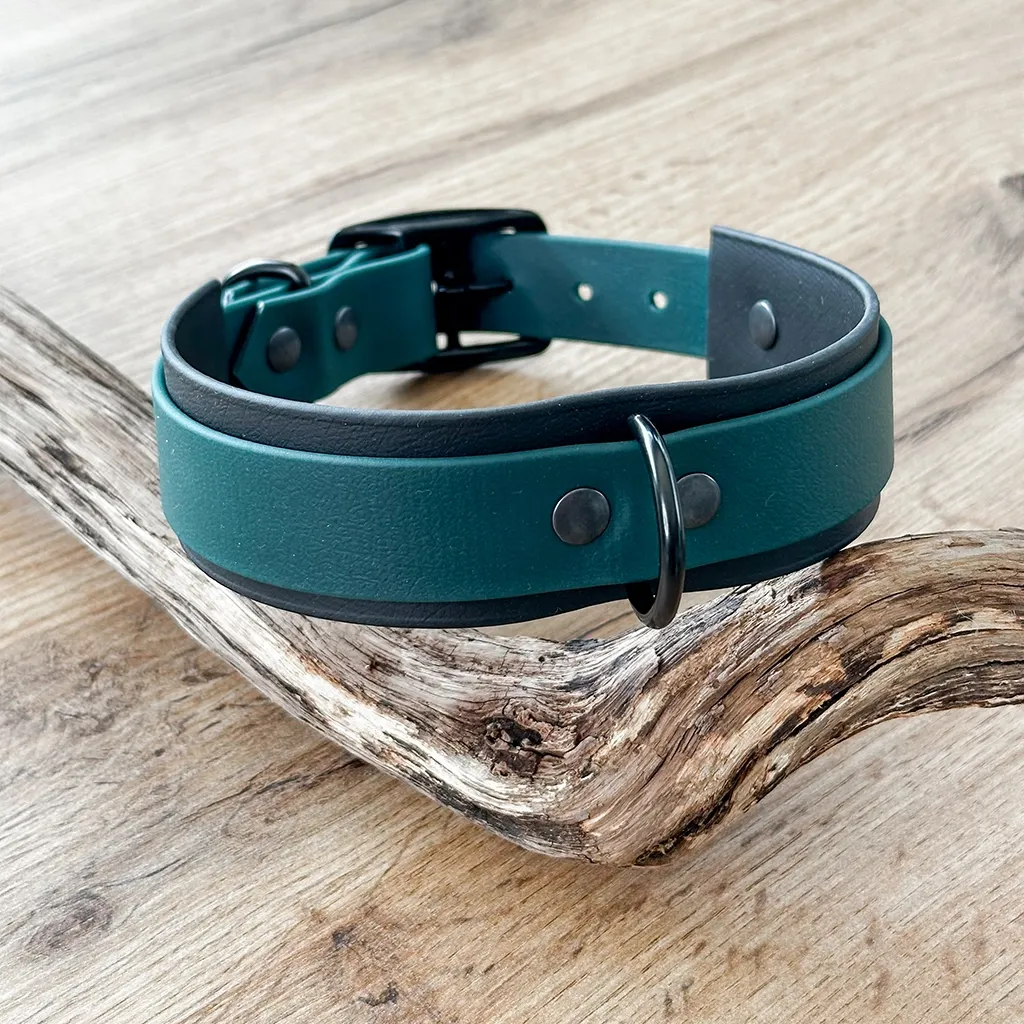 collier-biothane-double-boucle-noir-vert