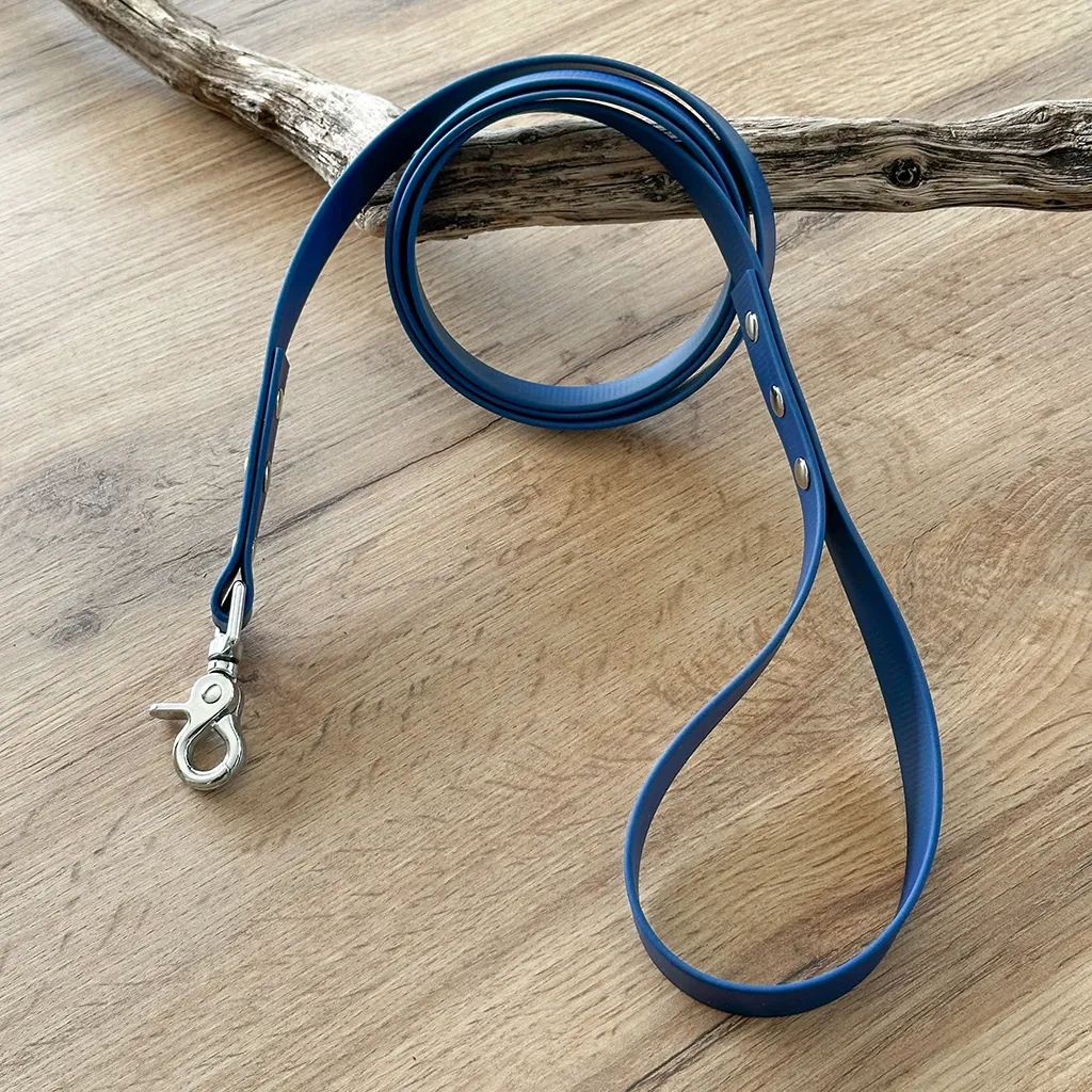 laisse-biothane-bleu