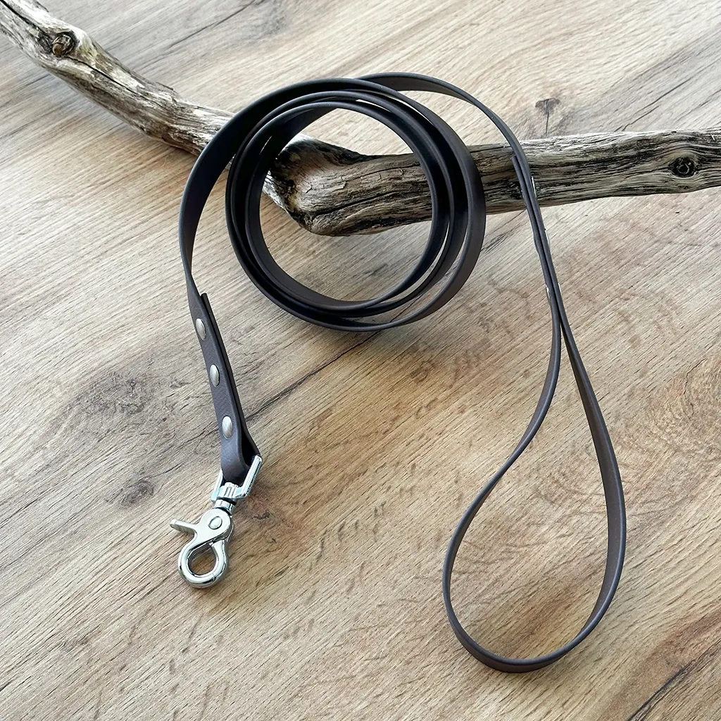 laisse-biothane-marron