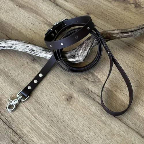 kit collier + laisse en BioThane®