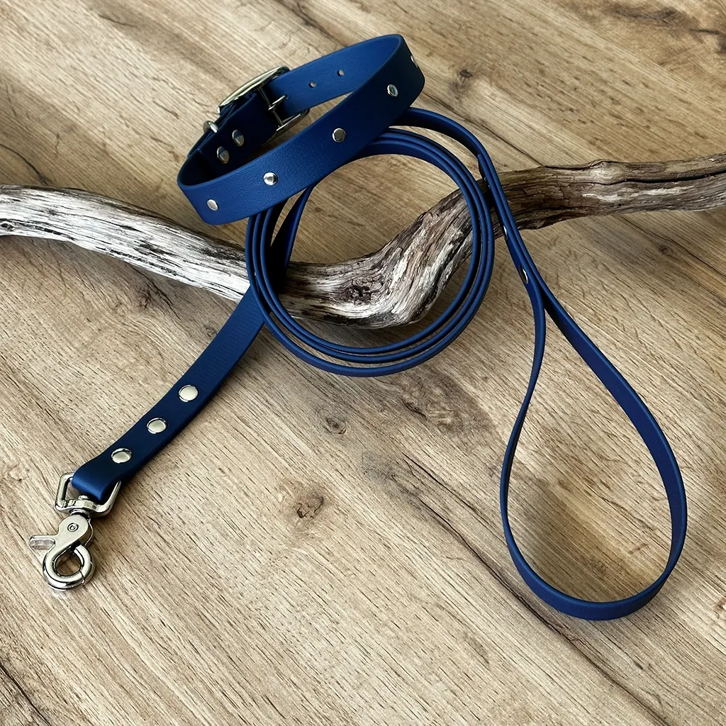 kit-collier-laisse-biothane