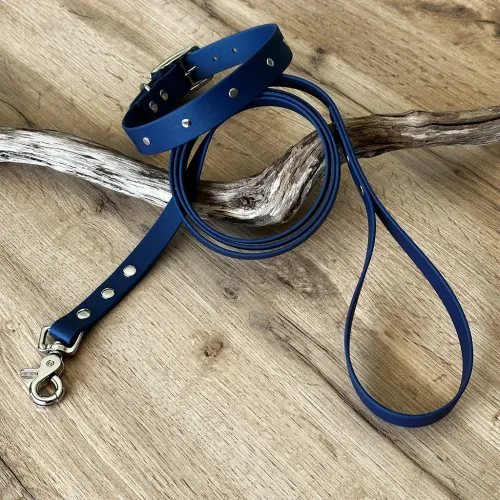 kit collier + laisse en BioThane®
