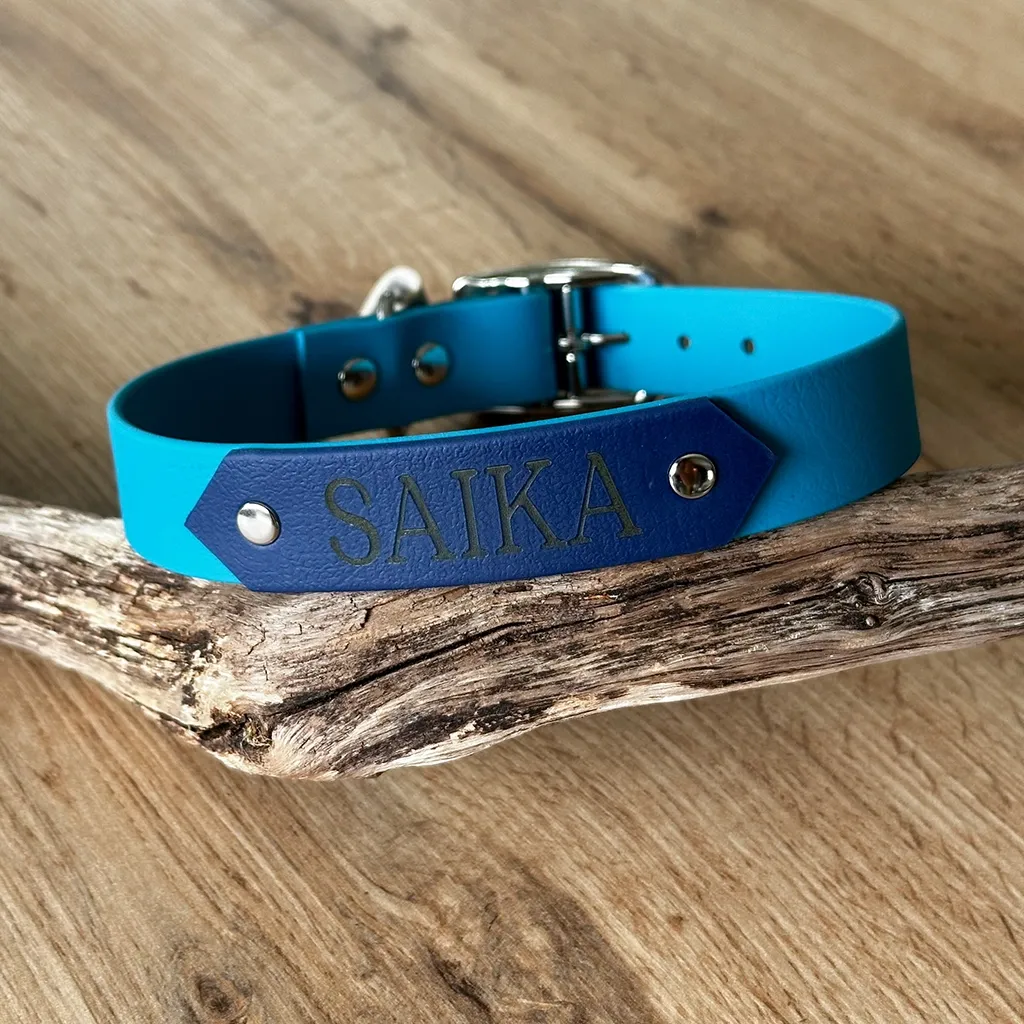 collier-personnalise-biothane-bleu-clair-et-fonce