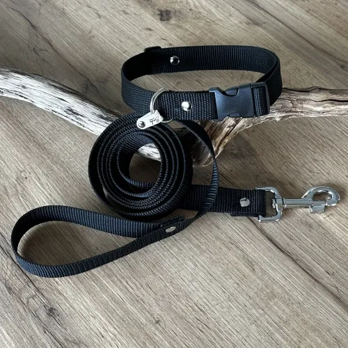 kit collier + laisse en textile
