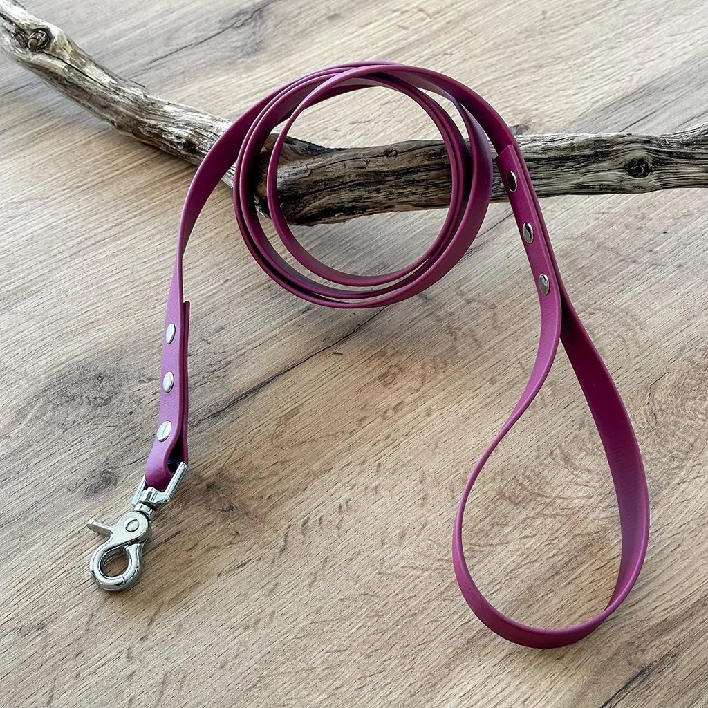 laisse-biothane-bordeaux