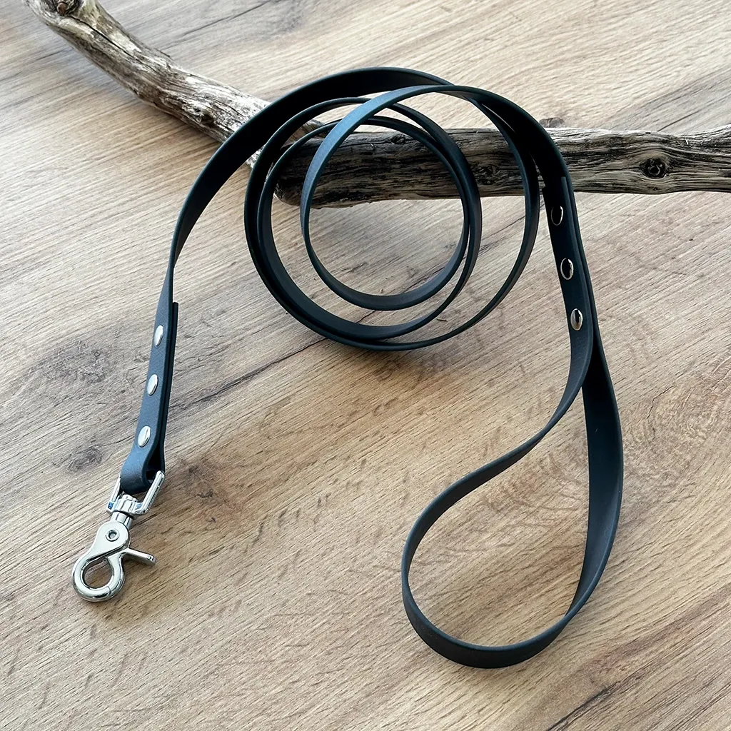 laisse-biothane-noir