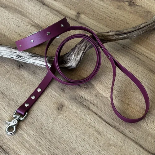 kit collier + laisse en BioThane®